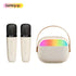 K30 Microphone KTV Audio Portable LED Lights Outdoor Speaker With Wireless Microphone